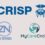 Zane Networks’ Operational Data Hub Platform Enables ACF-Funded CRISP Initiative to Enhance Care Coordination