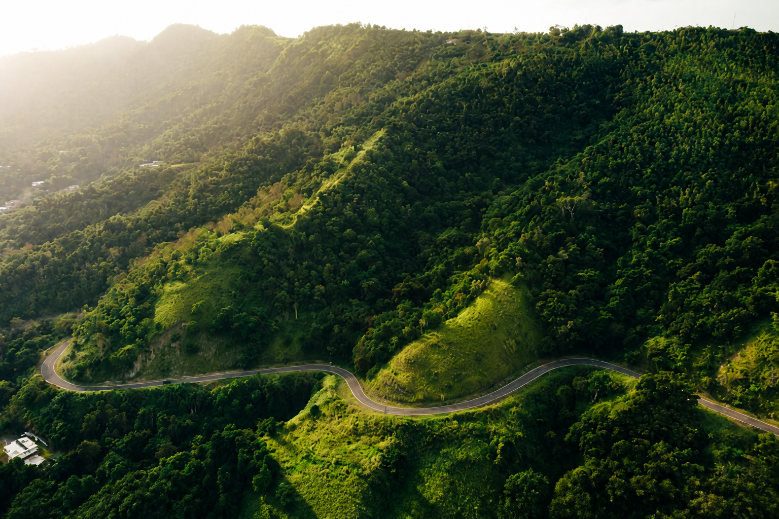 Lessons in Data Modernization from Island Public Health Leaders